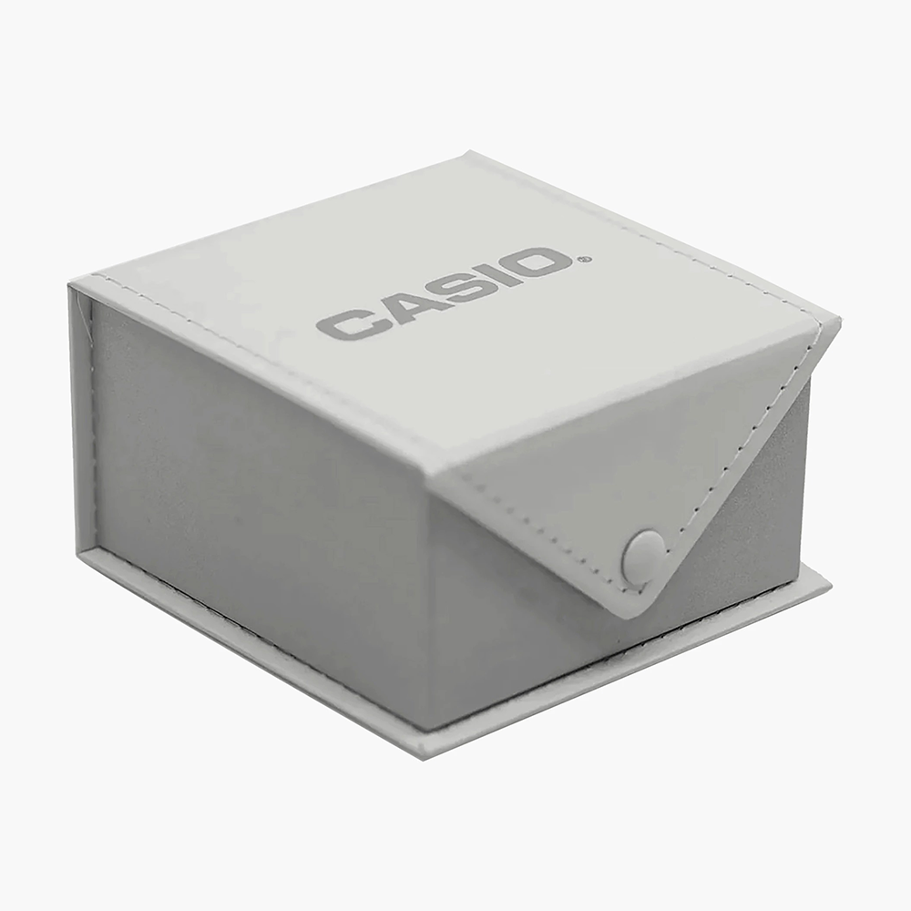 CASIO Stainless Steel Band Analog Digital